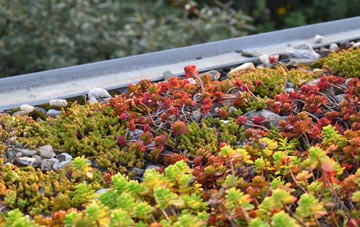 the cost of Great Linford green roof installation